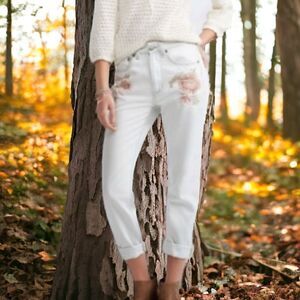 Aeropostale Embroidered Mom Jeans Floral Sz 2 Tokyo Darling Denim Straight Leg